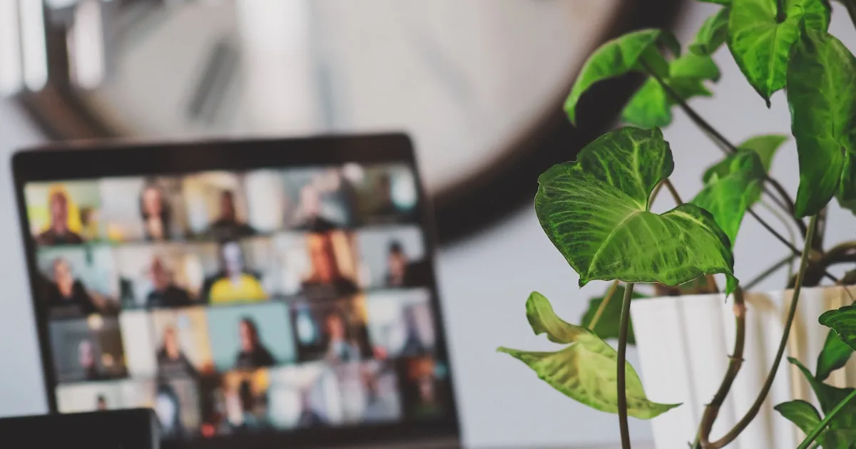 Notebook com videochamada de equipe ao lado de planta — home office
